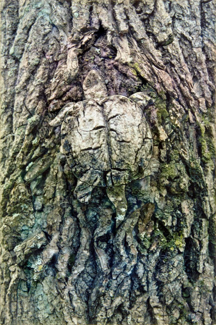 New Mother Earth by Blake Richardson