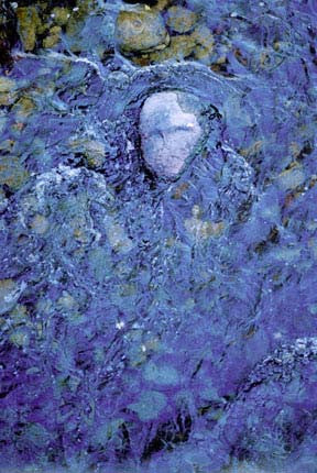 River of Life by Blake Richardson