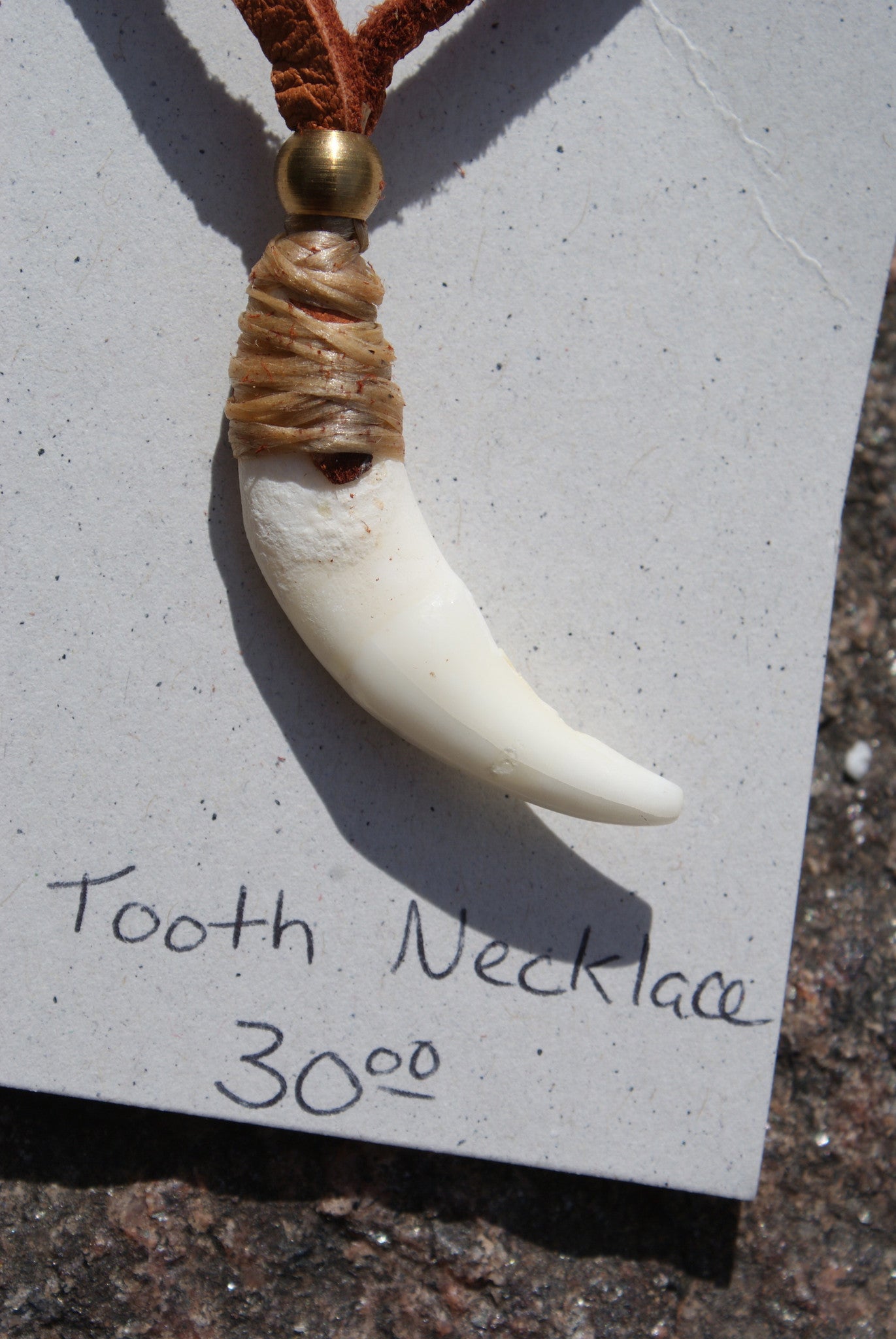 Wolf Tooth Necklace