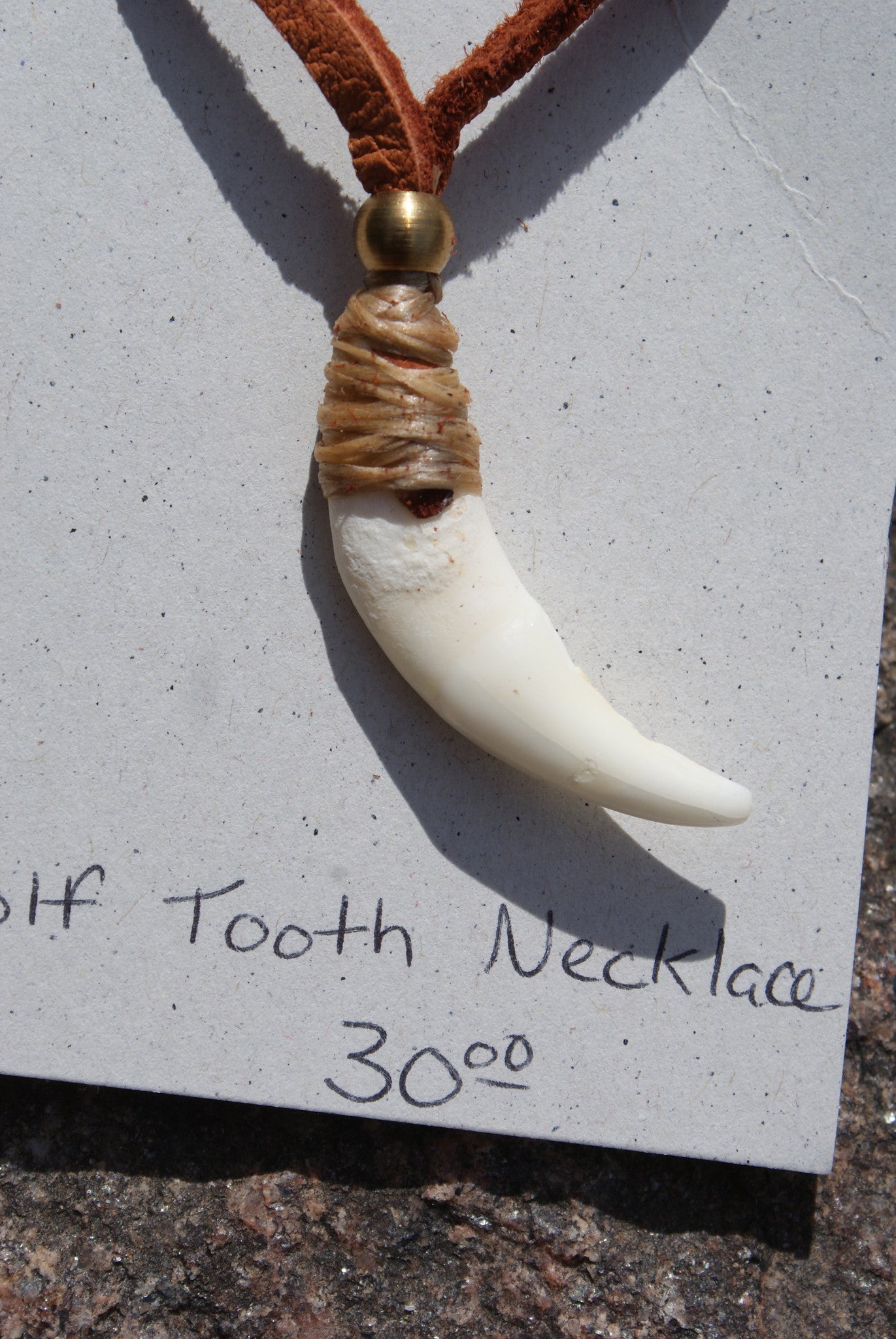Wolf Tooth Necklace