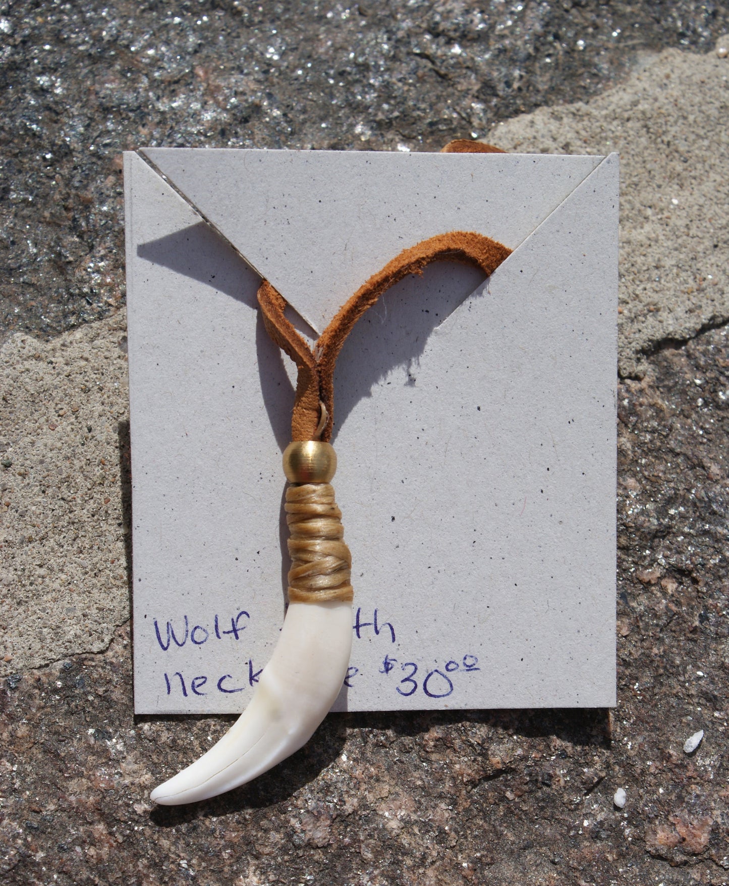 Wolf Tooth Necklace