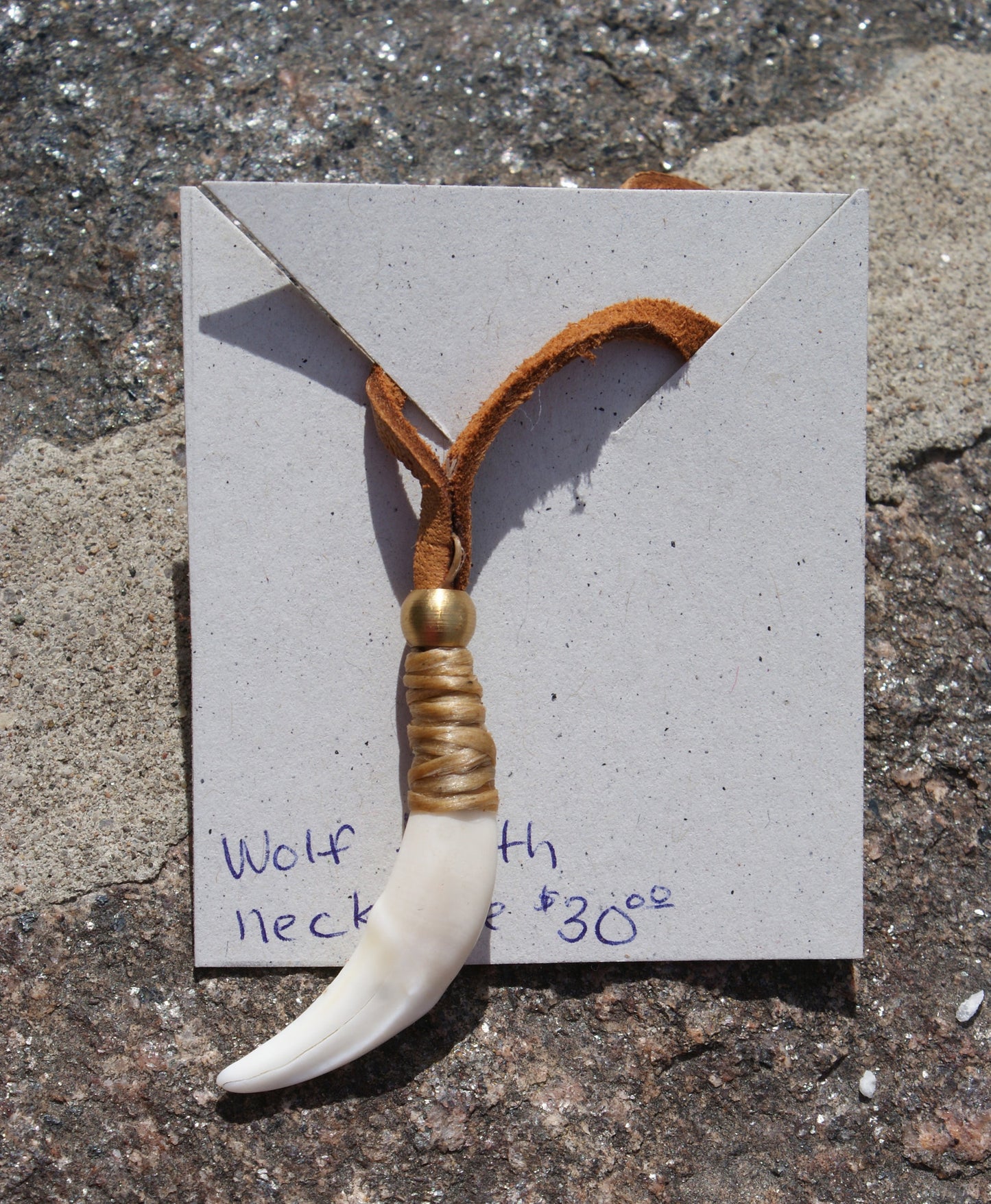 Wolf Tooth Necklace