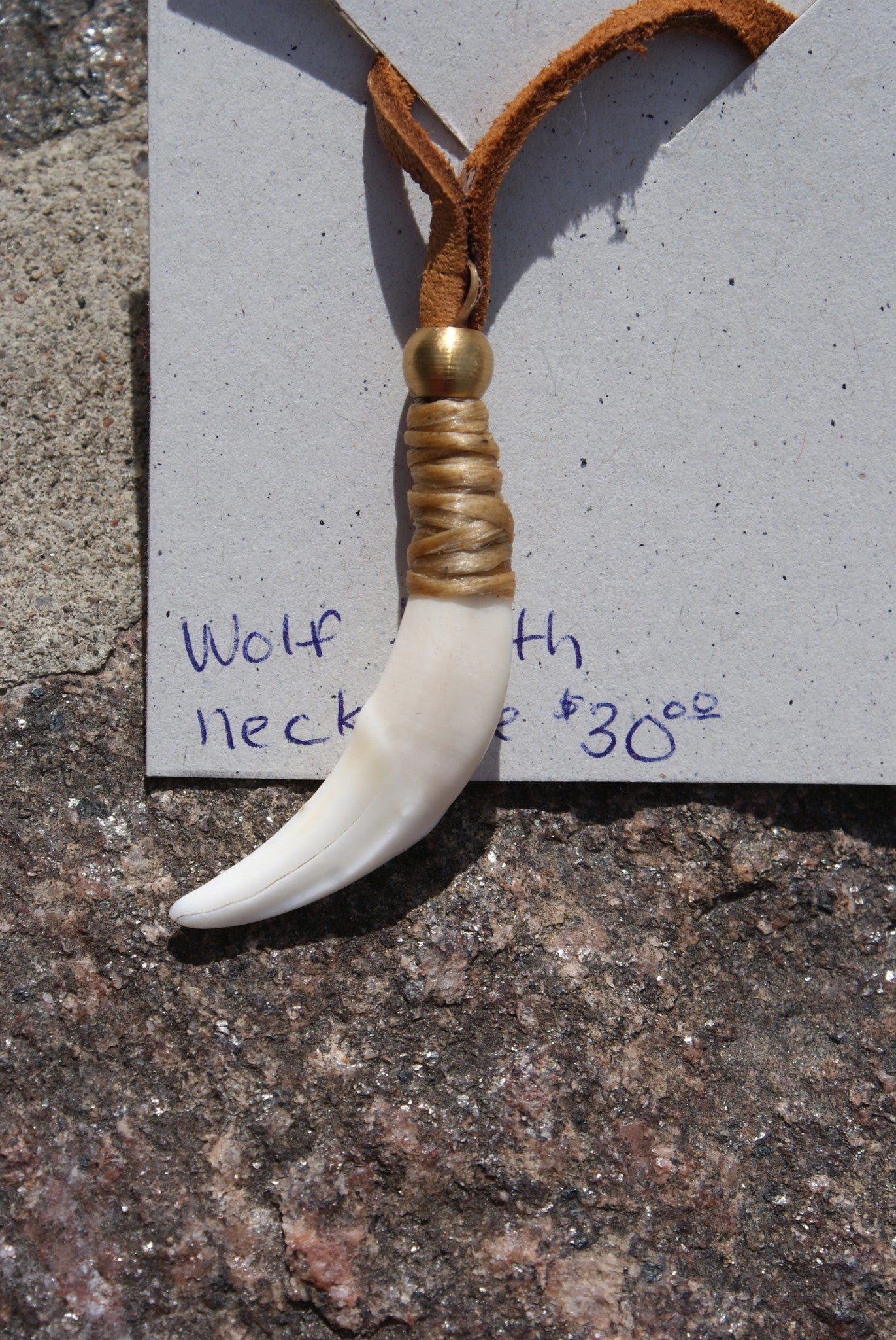 Wolf Tooth Necklace