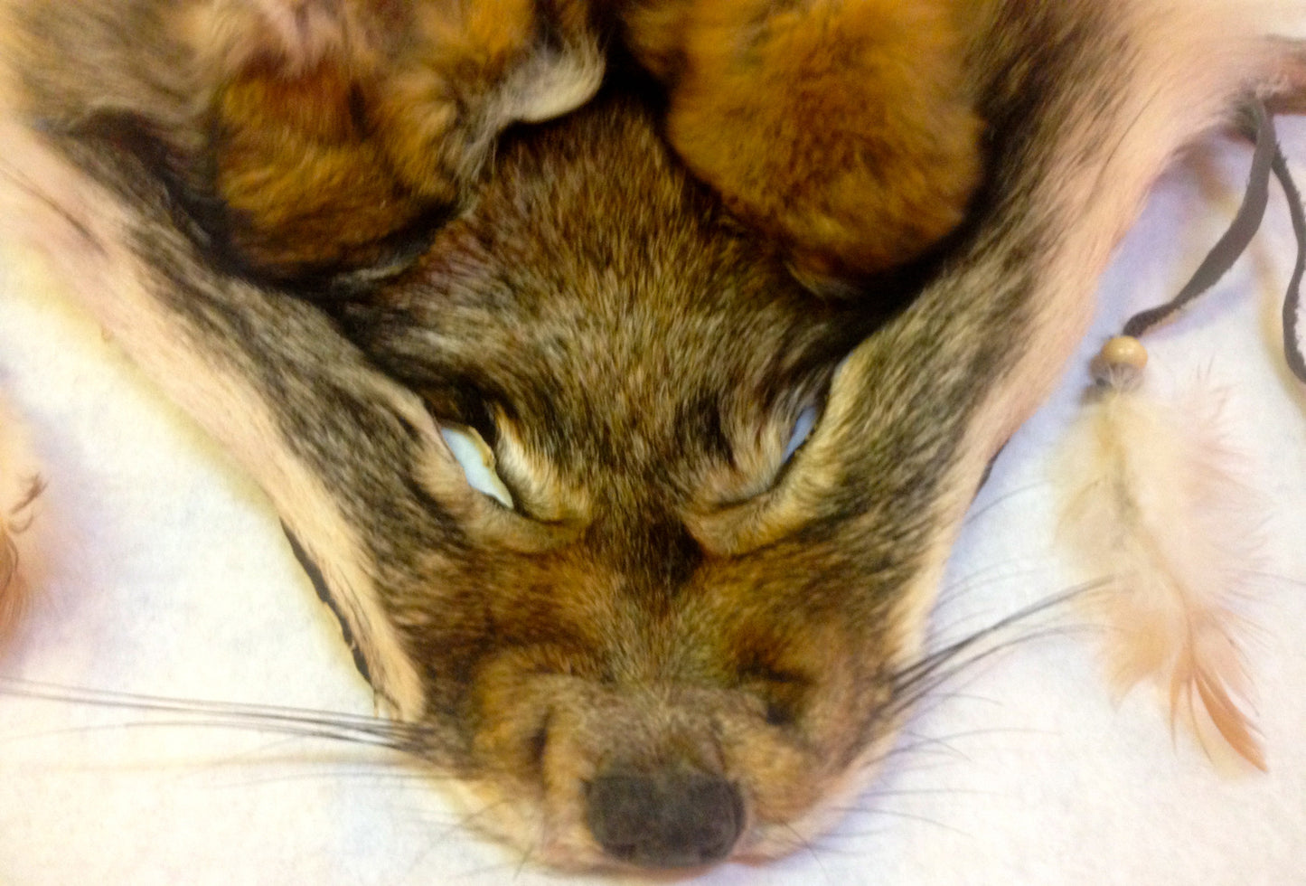 Wolf Totem Shield