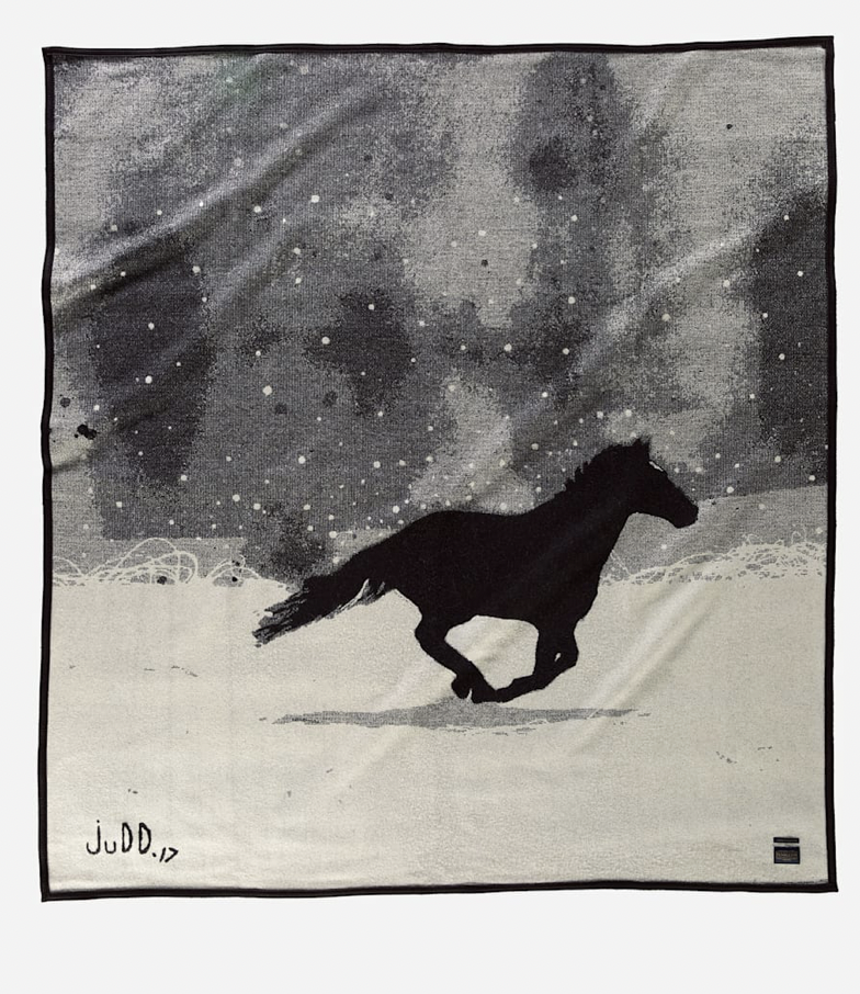 A Horse Called Paint by Pendleton
