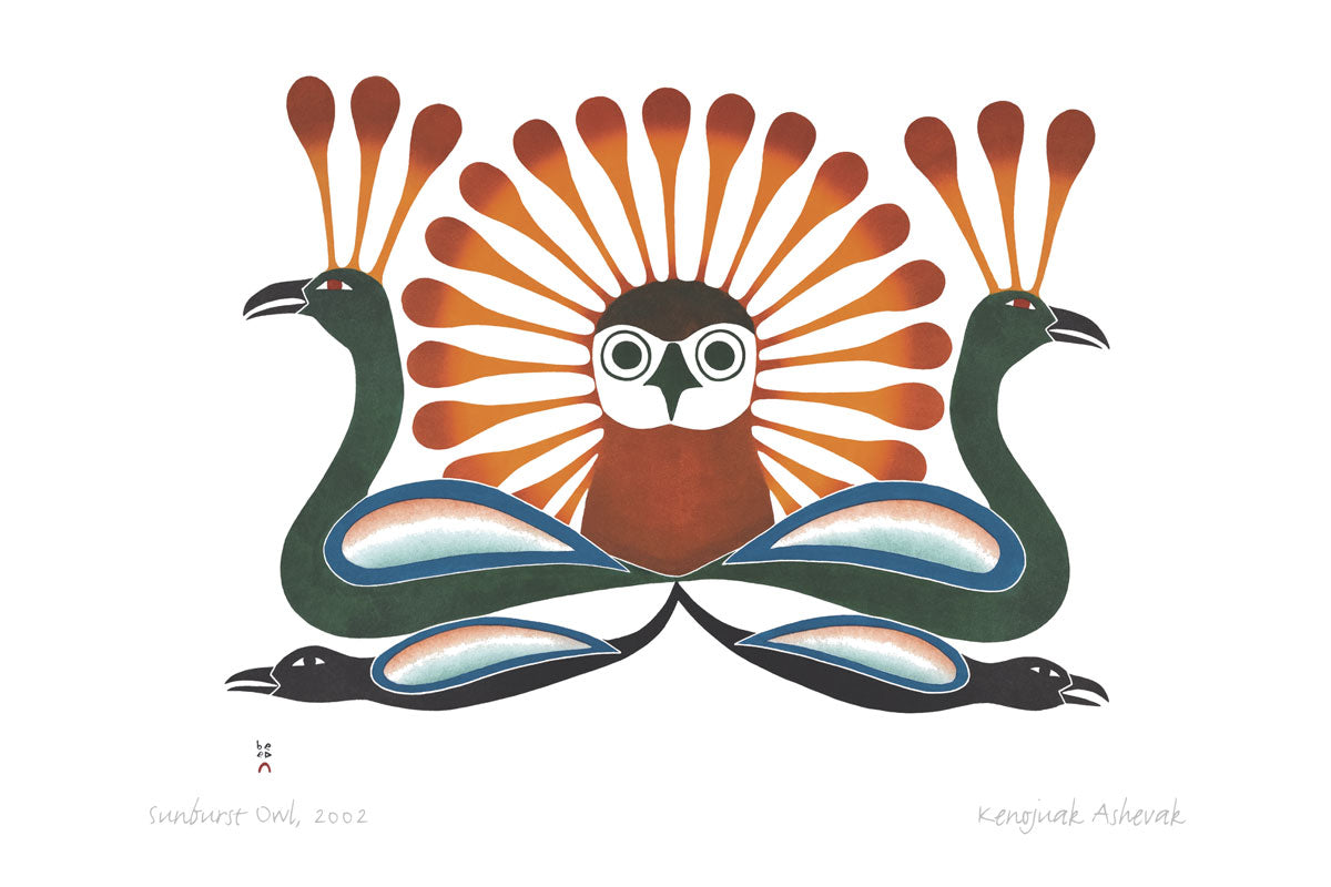 Inuit Owl Designs, Cape Dorset Boxed Set Note Cards