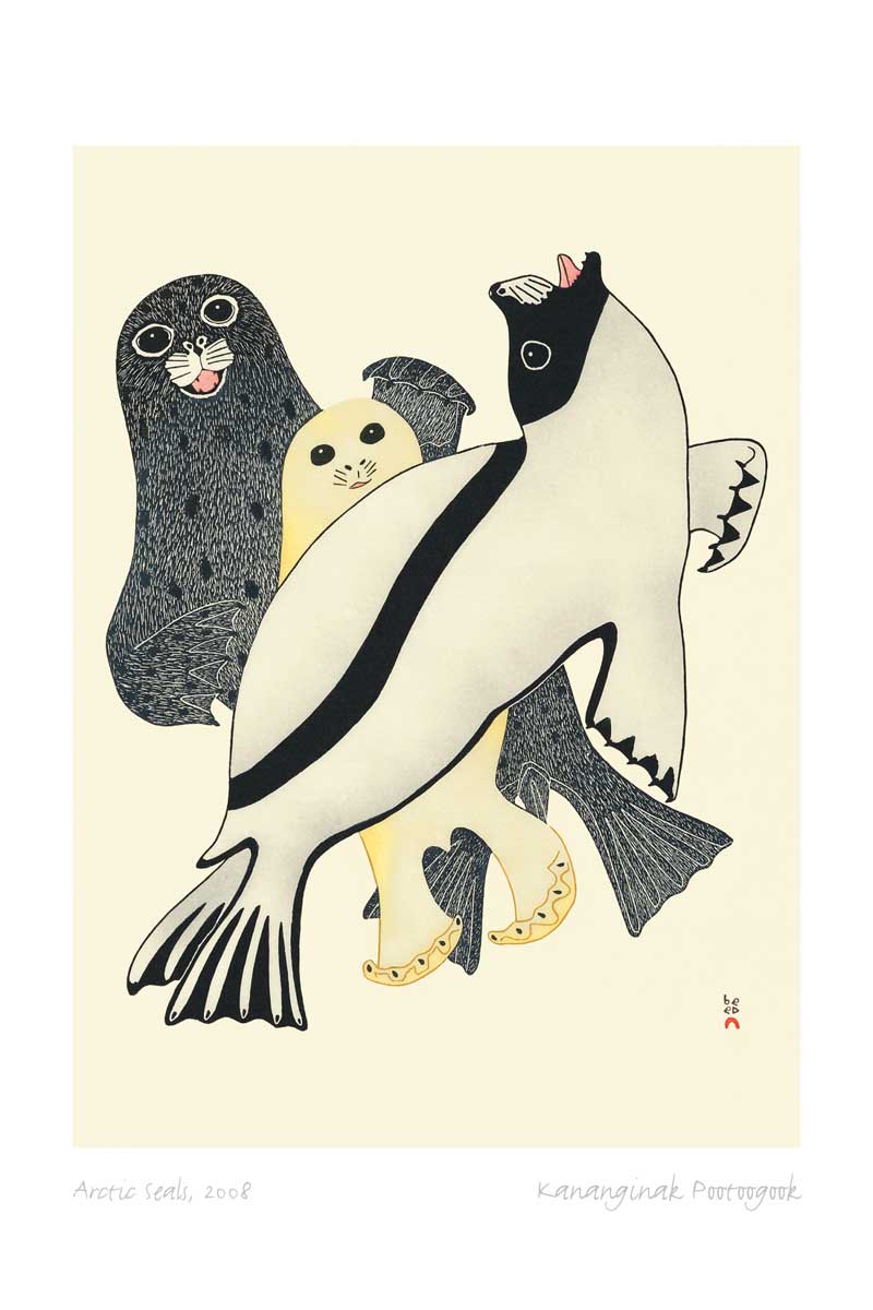 Wild Arctic, Cape Dorset Boxed Set Note Cards