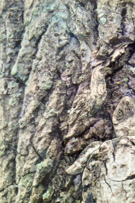 New Mother Earth by Blake Richardson