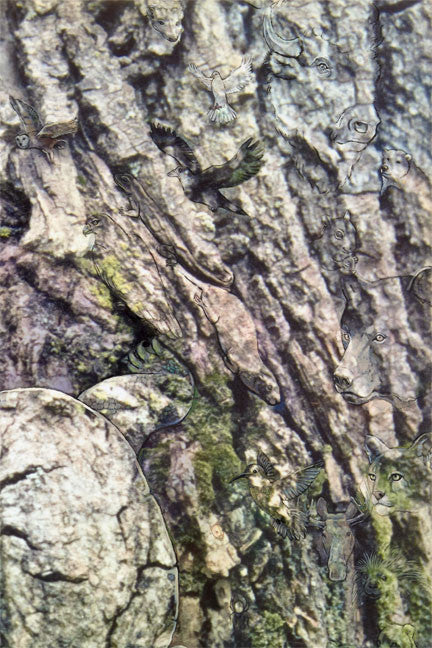 New Mother Earth by Blake Richardson