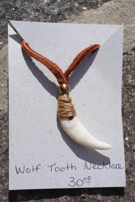 Wolf Tooth Necklace