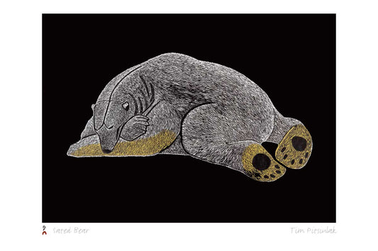 Wild Arctic, Cape Dorset Boxed Set Note Cards