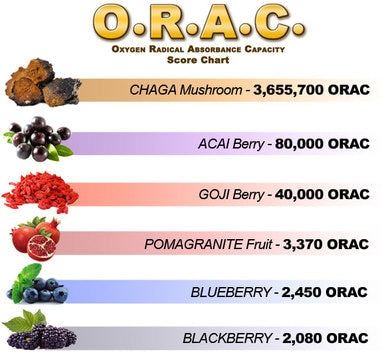 Pure Chaga Tea